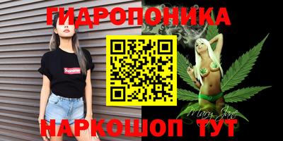 a pvp Старая Купавна