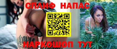 прущие крисы Славгород
