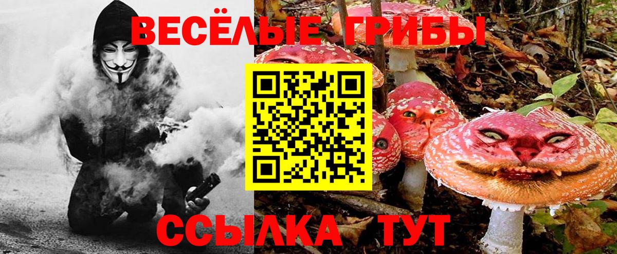 Галлюциногенные грибы Magic Shrooms  где найти   Нурлат  Псилоцибиновые грибы GOLDEN TEACHER  Вход с VPN 