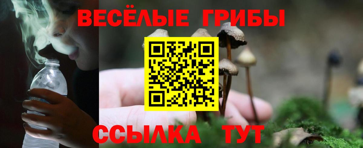 Псилоцибиновые грибы мухоморы Нурлат